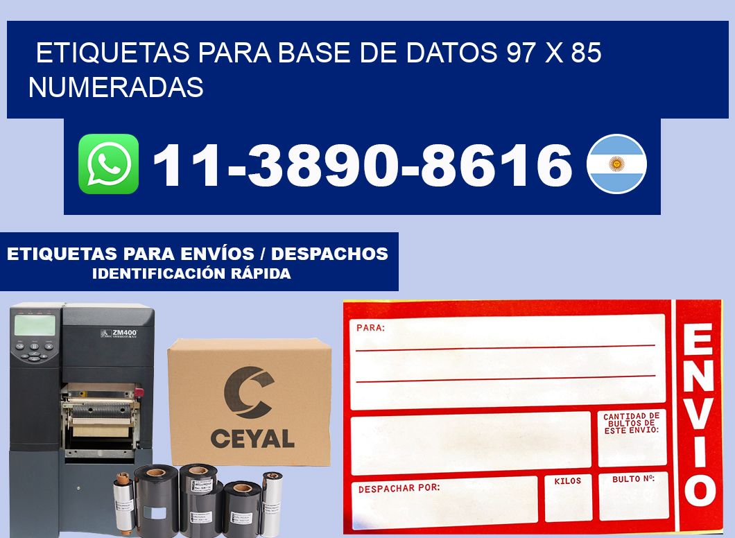 etiquetas para base de datos 97 x 85 numeradas