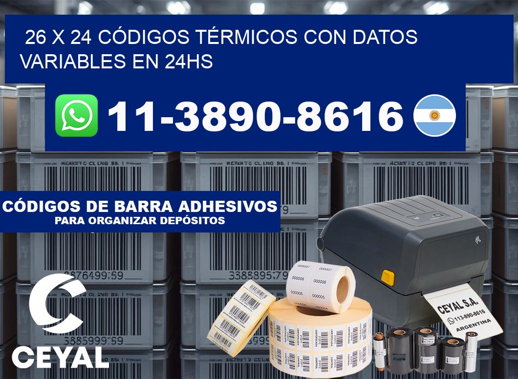 26 x 24 CÓDIGOS TÉRMICOS CON DATOS VARIABLES EN 24HS
