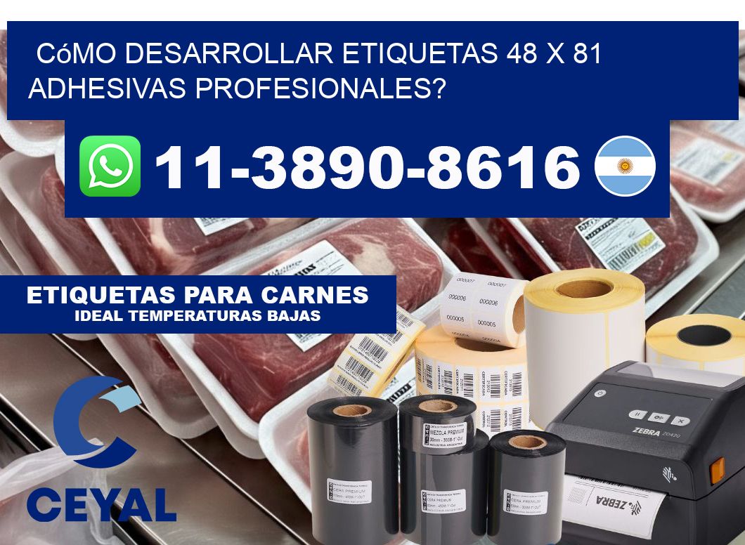 Cómo desarrollar etiquetas 48 x 81 adhesivas profesionales?