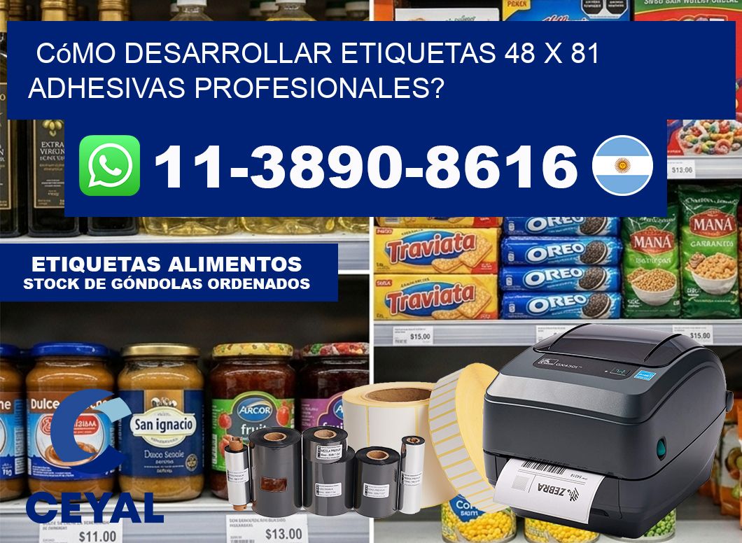 Cómo desarrollar etiquetas 48 x 81 adhesivas profesionales?