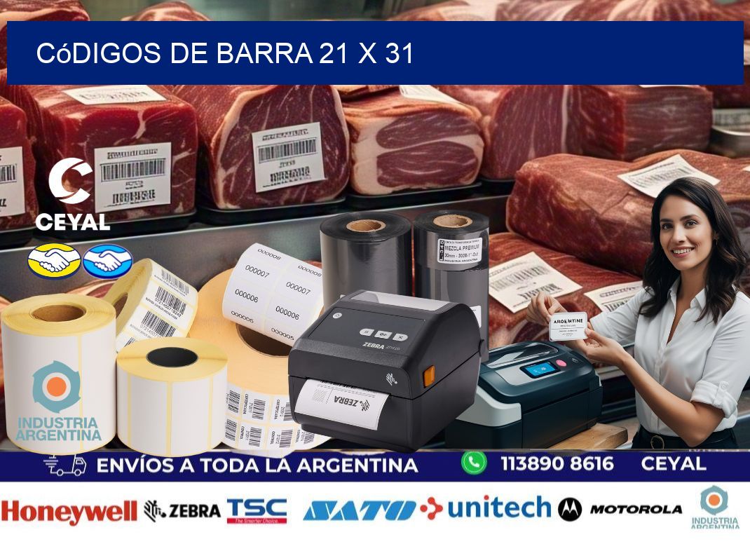códigos de barra 21 x 31
