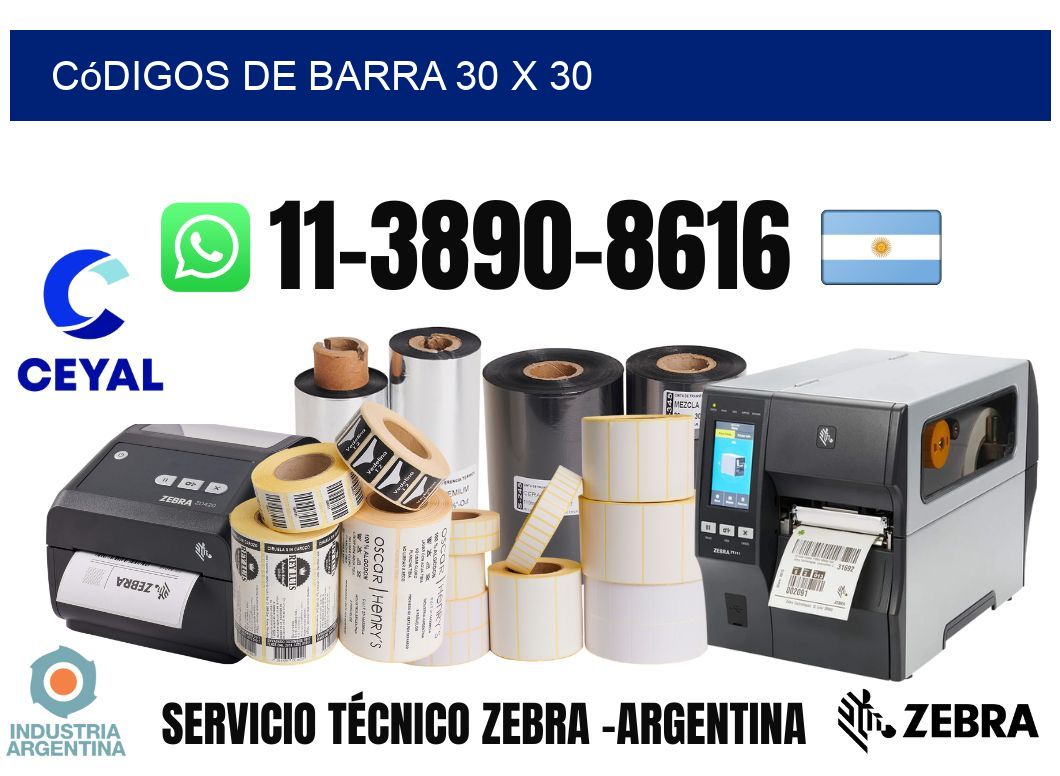 códigos de barra 30 x 30