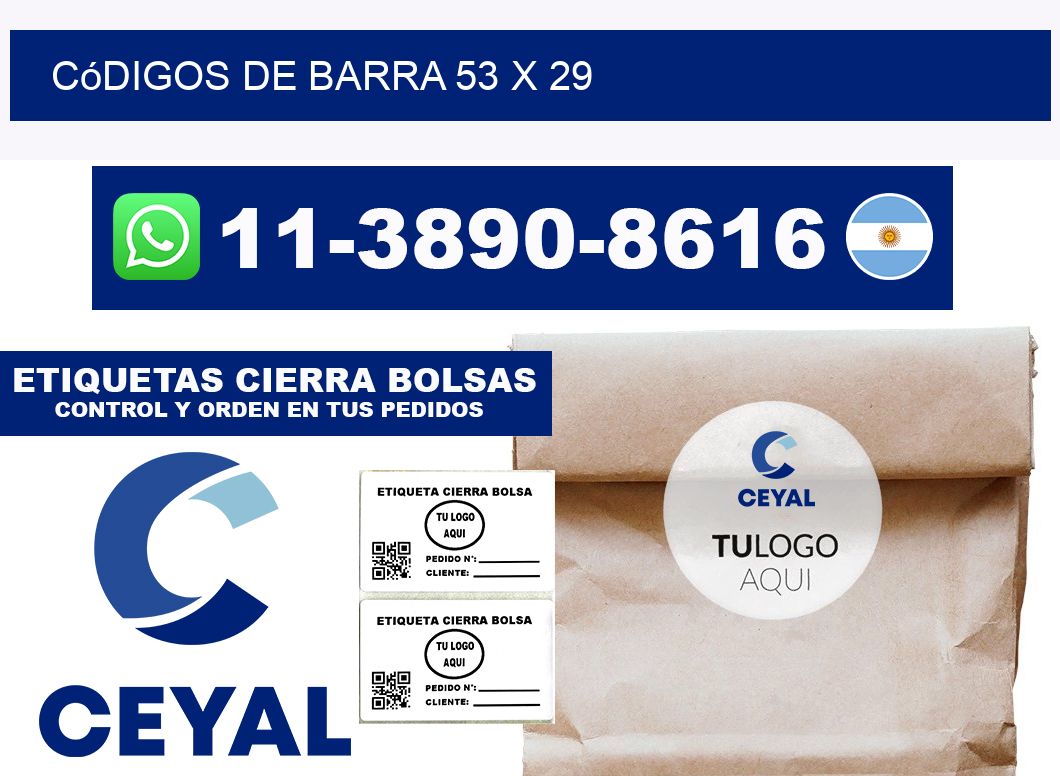 códigos de barra 53 x 29