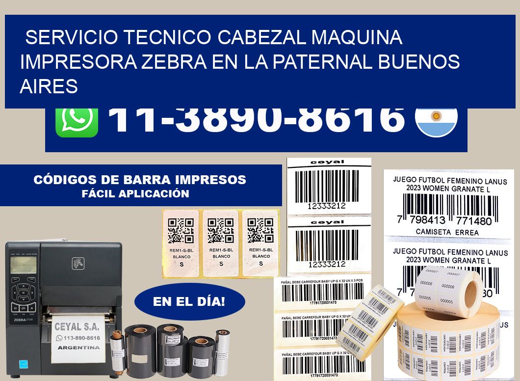 servicio tecnico cabezal Maquina impresora Zebra en La Paternal Buenos Aires