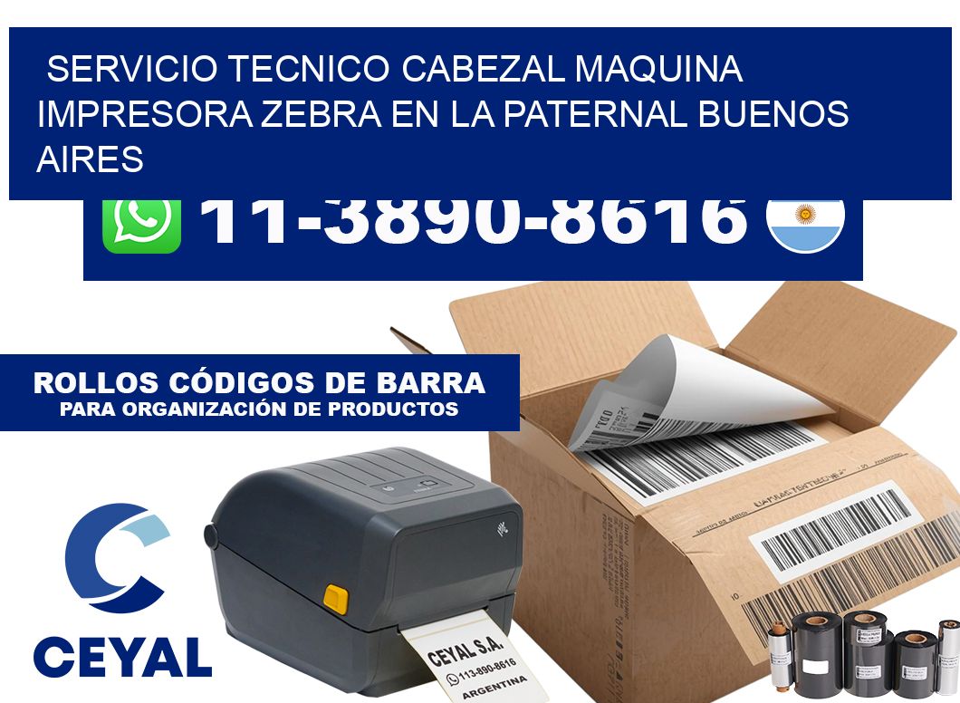 servicio tecnico cabezal Maquina impresora Zebra en La Paternal Buenos Aires
